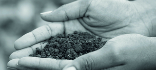 Albaladejo Tapa Home